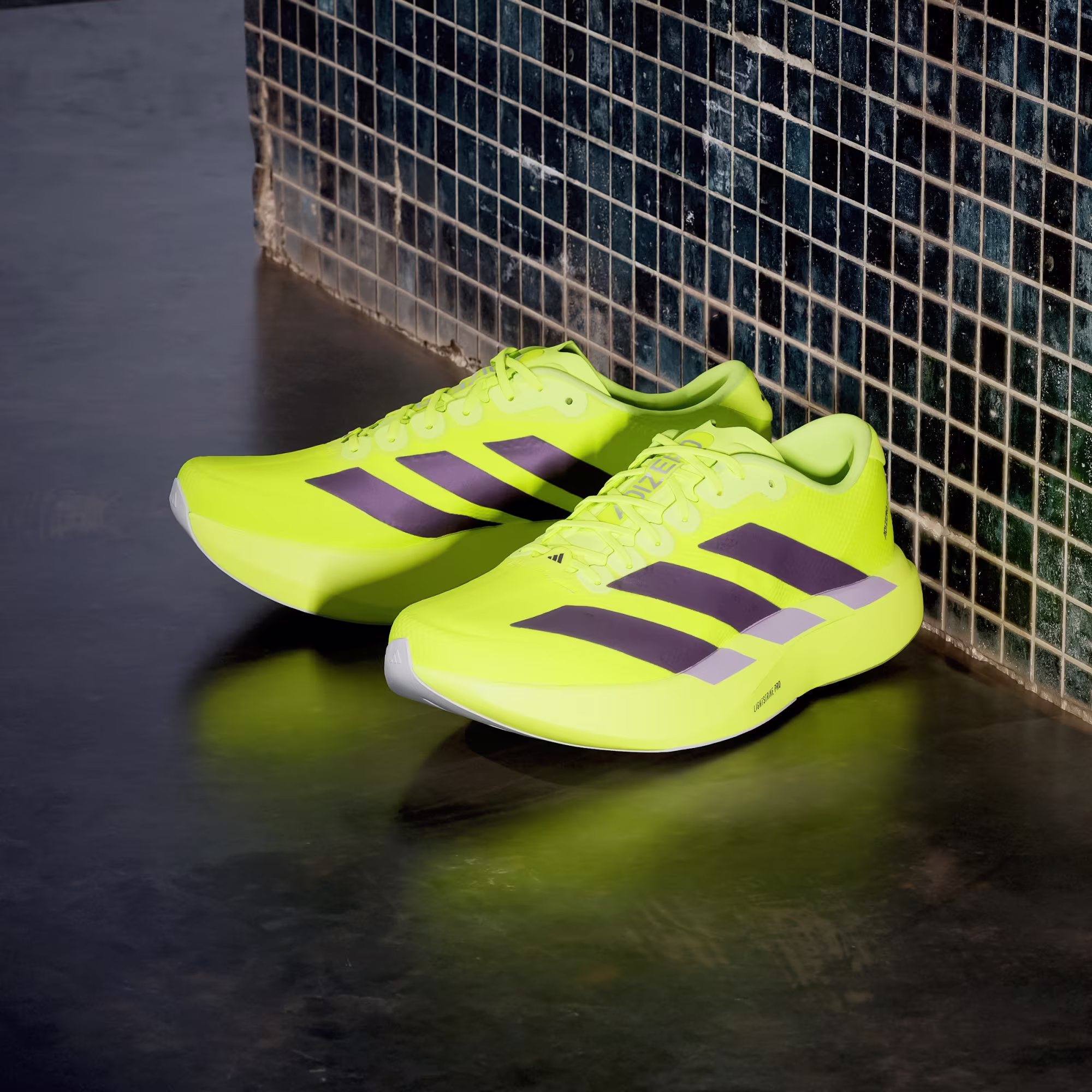 adidas Adizero EVO SL Woven - Solar Yellow / Aurora Plum / Powder Plum
